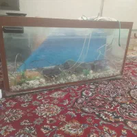 اکواریوم  همراه باماسه کف طول ۱۰۰ عرض۳۰ ارتفاع۵۰|ماهی|دوگنبدان, |دیوار