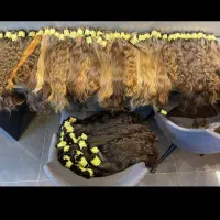 مرکزخریدموی خام ورنگی