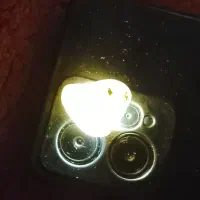 سنگ های زینتی|کلکسیون اشیاء عتیقه|تهران, باغ خزانه|دیوار