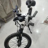 دوچرخه اورلود کاستم شده