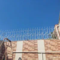 دزگیر منزل حافظ خانه های شما شاخ گوزنی ارتفاع بلند|خدمات پیشه و مهارت|گرگان, |دیوار