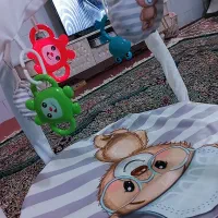 تشک بازی و پشه بند