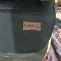 کالاسکه مسافرتی بی بی استار|کالسکه و لوازم جانبی|نهاوند, |دیوار