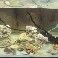 آکواریم یک متری با وسایل