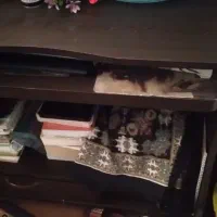 میز کامپیوتر