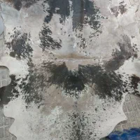 پوست گاو