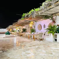 استخدام آشپز ، باریستا و سالن دار( کافه رستوران )