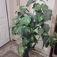 درخت مصنوعی آپارتمانی