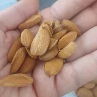 بادام شیرین|خوردنی و آشامیدنی|یزد, |دیوار