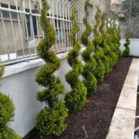 خدمات باغبانی باغچه کاری تعویض خاک گلدون گل وگیا|خدمات باغبانی و درختکاری|پردیس, فاز ۱۱|دیوار