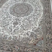 فرش امیرزاده دو تخته فرش ۹ متری ۷۰۰ شانه|فرش|مشهد, شاهد (شهرک غرب)|دیوار