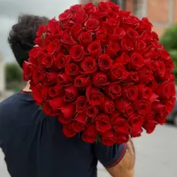دسته گل رز هلندی درجه یک|گل و گیاه طبیعی|مشهد, امامیه|دیوار