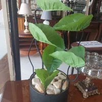 آبنما آباژور