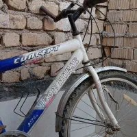 دوچرخه ۲۴|دوچرخه، اسکیت، اسکوتر|مرودشت, علیآباد|دیوار