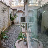 اجاره تجاری|اجارهٔ دفتر کار، اتاق اداری، مطب|رشت, ساغری سازان|دیوار