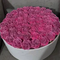 گل های ربانی|گل مصنوعی|رفسنجان, |دیوار