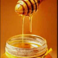 عسل طبیعی کوهی