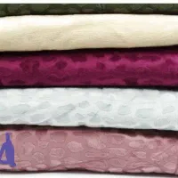 پتومسافرتی