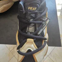 کتونی peak limited edition|کیف، کفش، کمربند|تهران, اقدسیه|دیوار