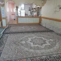 انجام پلاستر با بهترین قیمت کیفت