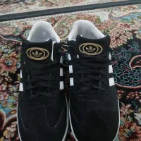 کفش|کیف، کفش، کمربند|یزد, |دیوار