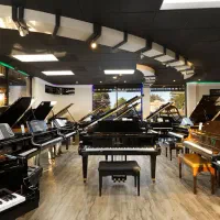 پیانو دیجیتال یاماها سری P|پیانو، کیبورد، آکاردئون|یزد, |دیوار