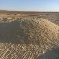 کاه گندم|عمدهفروشی|افشار, |دیوار