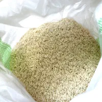 فروش انواع برنج هاشمی وغیره ایرانی بدون واسطه|خوردنی و آشامیدنی|رشت, سعدی (تختی)|دیوار