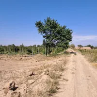 زمین باغی سند تکبرگ سند تهاتر با خودرو یا اقساط|فروش دفتر صنعتی، کشاورزی، تجاری|تاکستان, |دیوار