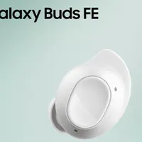 Buds fe