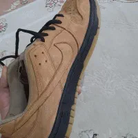 کتونی نایک ساق کوتاه|کیف، کفش، کمربند|قدس, شهر‌قدس|دیوار