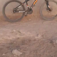 دوچرخه|دوچرخه، اسکیت، اسکوتر|گنبکی, |دیوار