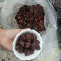 خرمای نخل های جنوب کرمان  درجه یک صادراتی|خوردنی و آشامیدنی|تهران, یافت آباد جنوبی|دیوار