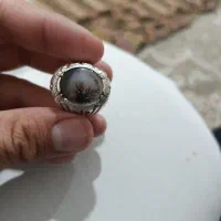 شجر قائن سیاه