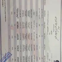 چاپی مسافت بلند|پرنده|برازجان, |دیوار