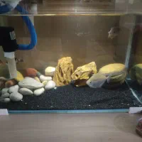 آکواریوم با لوازم تکمیل