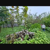 ویلایی سند تک برگ/ املاک ماندگار