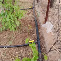 لوله کشی قطره ای باغات ، لوله کشی ساختمان