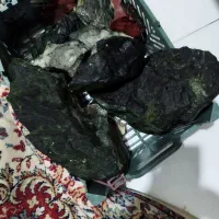 لوازم آکواریوم|ماهی|اهواز, گلستان|دیوار