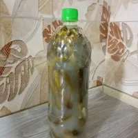 خیار شور ریز|خوردنی و آشامیدنی|قرچک, میرزائی شمالی|دیوار