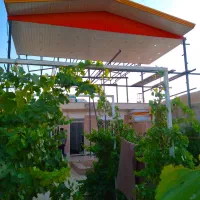 اجرای سقف شیروانی آلاچیق آمد.از پلی کربنات و سوله|خدمات پیشه و مهارت|قم, نیروگاه|دیوار