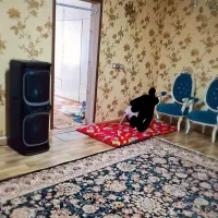 فرش|فرش|خرمدره, |دیوار
