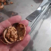 گردو شکن بادام شکن فندق شکن هسته شکن ارسال رایگان|ظروف پخت‌وپز|تهران, حکمت|دیوار