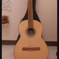 گیتار   ۲۰۱۲