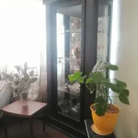 بوفه و ویترین