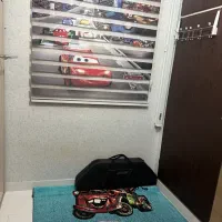 پرده زبرا