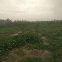 فروش زمین برای ویلا باغ ۳۰۰متری و ۵۰۰ متری و ۱۰۰۰م