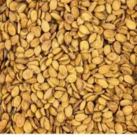 فروش تخمه هندوانه خام|عمده‌فروشی|شوش, |دیوار