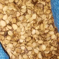 تخم هندوانه