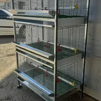قفس جوجه یکروزه